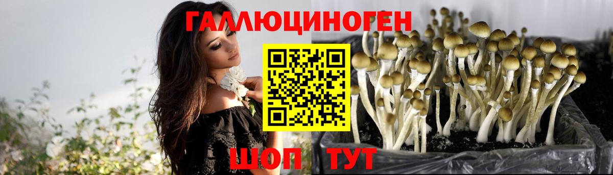 Галлюциногенные грибы ЛСД  Вход с VPN  Долгопрудный 