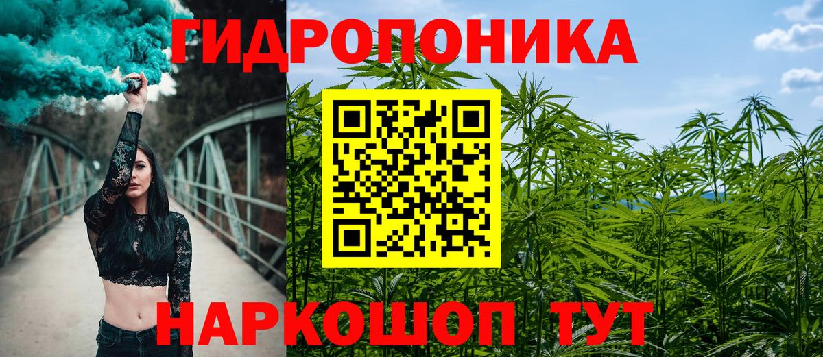 Шишки марихуана планчик Долгопрудный